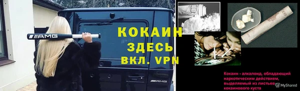 кокс Алексин