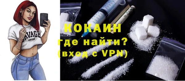 кокс Алексин