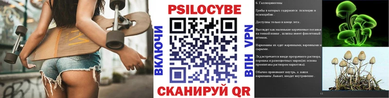 как найти закладки  Тверь  Псилоцибиновые грибы GOLDEN TEACHER 